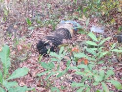 Geger Penemuan Mayat Di Dusun Tampora Desa Kalianget Kecamatan Banyuglugur Situbondo