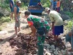 Atasi Kesulitan Warga, Babinsa Koramil Klabang Bondowoso Bantu Perbaikan Jalan