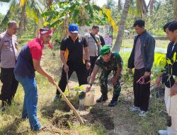 Menjaga Kualitas Udara, Babinsa Koramil Tapen Tanam 500 Pohon Mahoni