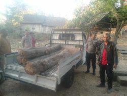 Operasi Gabungan KPH Bondowoso bersama Polsek Arjasa Berhasil Amankan Mobil Roda Empat Dan 11 Glondong Kayu Jati