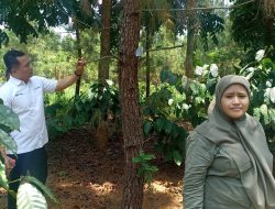 Enny Handhayani Melakukan Pemeriksaan ke Beberapa Lokasi Guna Memastikan Kesiapan Bibit Untuk Pelaksanaan Reboisasi