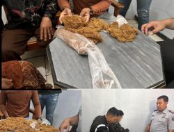 Diduga Ganja, Petugas Rutan Situbondo Berhasil Gagalkan Penyelundupan Tembakau Saat Layanan Kunjungan Siang ini