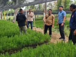 PASTIKAN VEGETATIF PBG BERJALAN LANCAR, KASI UTAMA DIREKSI PERHUTANI BERKUNJUNG KE KPH BONDOWOSO