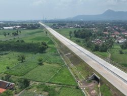 Jalan Tol Probolinggo–Besuki: Proyek Infrastruktur untuk Pertumbuhan Wilayah