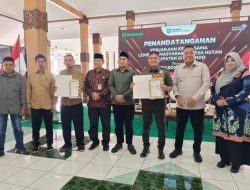 Kolaborasi Pemkab Situbondo LMDH dan Perhutani Bondowoso Wujudkan Hutan Lestari di Situbondo