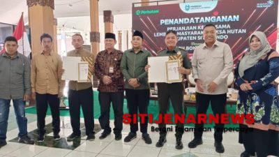 Kolaborasi Pemkab Situbondo LMDH dan Perhutani Bondowoso Wujudkan Hutan Lestari di Situbondo