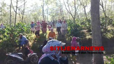 Provokasi Adu Domba Kembali Guncang Ijen, Ribuan Pohon Kopi PTPN Dirusak Secara Terorganisir Oleh Sekumpulan Pelaku Yang Tidak Menghendaki Kawasan Ijen Kondusif