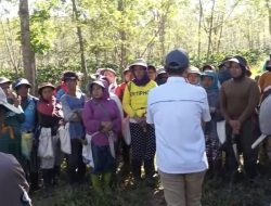 PTPN Desak Polisi Bongkar Aktor Intelektual Pelaku Perusakan Kebun Kopi Ijen, Yang Dilakukan Berkali-kali Selama ini dan Menyebabkan Kerugian Perusahaan Negara Ratusan Juta
