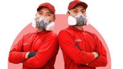 Waspada Serangan Rayap di Jakarta, Ini Solusi Perlindungan Bangunan yang Tepat