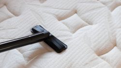 Tips Memilih Jasa Laundry Sofa Terpercaya Agar Sofa Kesayangan Gak Rusak
